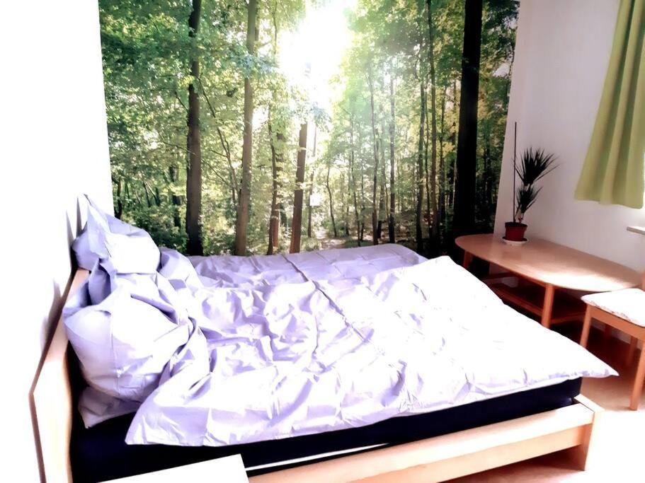 Zentral Und Doch Natur Köln Eksteriør billede